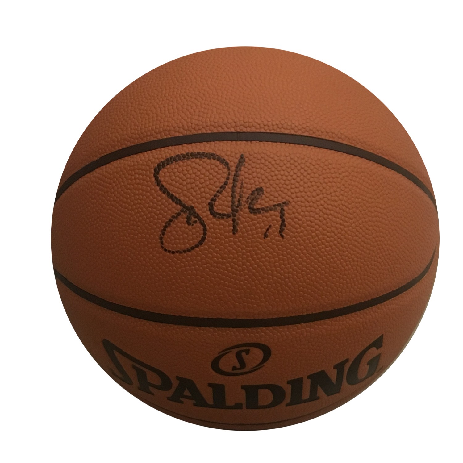 steve nash autographed basketball